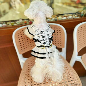 y|Cgő8{zyz s[X n[lX [h 2_Zbg EFAn[lX ̎q XJ[g 킢 ^ p  xXg wJ 