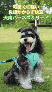 yz n[lX [h ^ ^ ^  Ȃ y ʋC    n[lX pn[lX