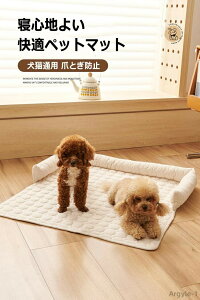 y|Cgő8{zyzybgxbh L  ˂ ybg \t@[ t xbh \t@[Jo[ }bg NbV Lp ybg}bg ʋC Q