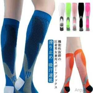 y|Cgő8{zyzSt\bNX X|[c\bNX Y fB[X C 2Zbg nC\bNX Stp X|[cp  \bNX