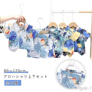 yzc  V[gpc nC s Vc q   AnVc ㉺Zbg r[`EFA  LbY