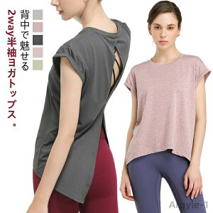 y|Cgő8{zyzK t`X[u  ̌^Jo[ X|[cEFA tBbglXEFA zbgK fB[X gbvX KEFA