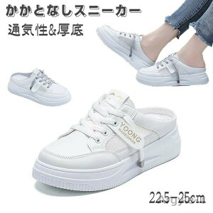 yzƂȂXj[J[V[Y T_ fB[XSn  y t@V₷ bV Ktbg