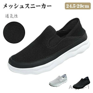 yzY hjOV[Y fB[X ^C ʋC Ȃ C jOV[YY bVf 芴