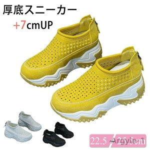 yzXb|fB[X fB[XXj[J[ 7cmgAbv ̃Xj[J[ fB[XV[Y KȌC V[Y