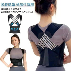 yzLwxg  ڗȂ Lw  w؋xg pT|[^[ Lw  xg Lwxg pxg