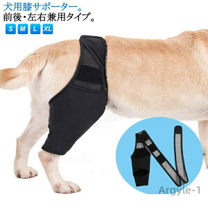 yzV ی p T|[^[ ֐ߕی  ybgpi  EP x veN^[  nr ֐߃veN^[ O s