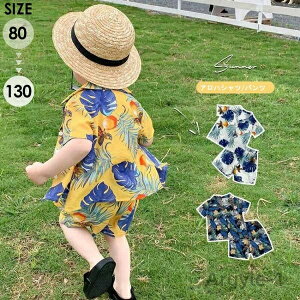 yzLbY AnVc Ԃ ZbgAbv ㉺ZbgrbO Vc q  n[tpc WjA JWA AJW