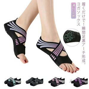 yzA[` y܂ K\bNX C C A[`T|[^[ seBX ~ _X K  5{w g[jO