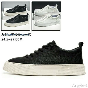 yzXj[J[ Y fB[X y zCgV[Y C Xj[J[ AEghA ʋ ʊw JWAV[Y Xj[J[