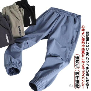 y|Cgő8{zyzJWA ʉ C[W[pc   ʋC j̎q qǂ Opc ڐG⊴ Ђ z  t q WjA w qǂ