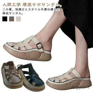 yzlԍHw T{T_ Oǂ gAbv   fB[X JWAV[Y t  EH[LOV[Y T{T_ T{T_ Xj[J[