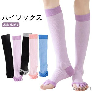 y|Cgő8{zyzfB[X w L 5{w \bNX \bNX [\bNX J ӂ͂T|[^[  C Jo[ }bT[W  ₦ 