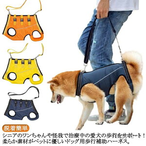 yz n[lX s⏕n[lX pi pn[lX Ȃ  Sgn[lX p SgT|[g s⏕ ⏕ VjA O 둫 ^ ybgp