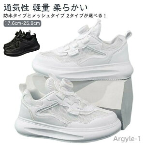 �y���������z�_�C������ �L�b�Y �X�j�[�J�[ �h���^�C�v ���b�V���^�C�v �X�j�[�J�[ ���L �j�q ���q �j�̎q ���̎q ���w�� �^�� �ʉ� �y�� �_�炩�� �ʊw �^���C �����j���O