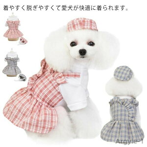 y|Cgő8{zyz s[X XJ[g H ^?̕ ybg L Ck ̎q gCv[h ` _bNX hbOEFA  킢 `bN 