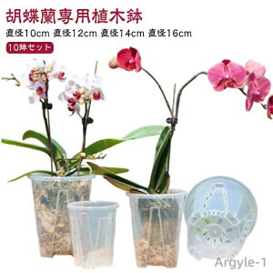 yzAؔ 10Zbg  Aؔ  t vX`bN ̔ Ӓ m  O Ӓ̐Aւ I[Lbh|bg ϗtA A c|bg