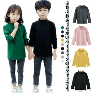 y|Cgő8{zyzTVc LbY nClbN  Ci[Vc ^[glbN q j̎q ̎q tH~ gbvX ct w WjA h g _炩