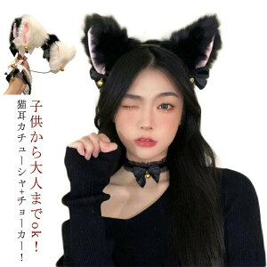 yztLJ`[V{`[J[I2_Zbg L J`[V RXv lR ˂݂ ɂ ݂ ̎ nEB RXv ߑ