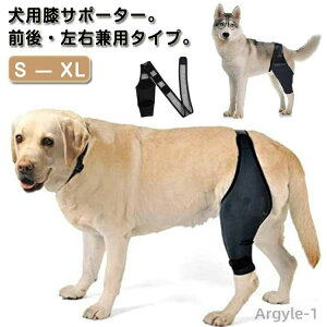 yz T|[^[ p ֐߃veN^[ O㍶Ep ֐ߕی Œ G x EP ی veN^[  nr  ybgpi s⏕ PApi 둫