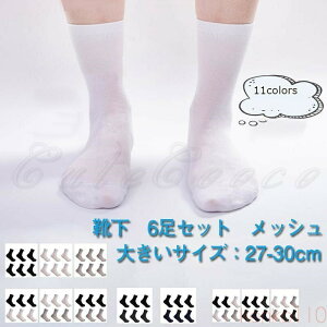 yzXj[J[\bNX Y C bV n 6Zbg 傫TCYF27.0-30.0cm  ₷ Vv ėp 21NĐV ꂢ 