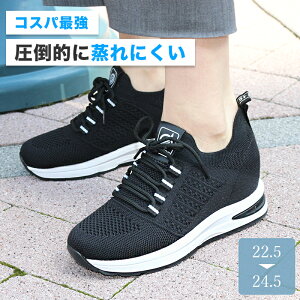 sTCYt bV Xj[J[ Ȃ fB[X 6cm ₷  ubN  l 傫TCY TCY y y Ȃ ؍ ꂢ jOV