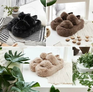 yX[p[Z[zN[|zt@[T_Xbp [V[Y fB[X RtH[g tFCNt@[ [ wl   ӂӂ Xbp bNXXbp 