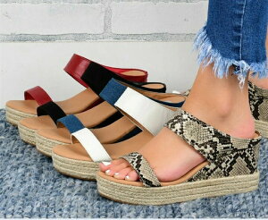 yz7.5Z` ₷ ₷ T_ T_ EFbWq[ W[g T{ EGbW\[ ~[ GXph[