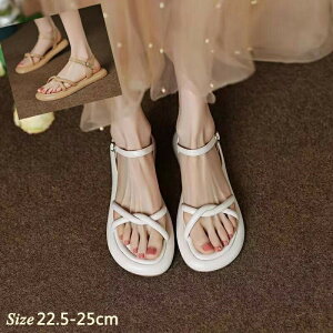 yzT_ fB[X ؂ n y y ʋC r EH[LOV[Y ʋ