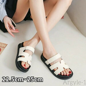 yzT_ fB[X  3cm X|[cT_ ₷ Xj[J[T_ 傫TCY RtH[g V[Y y C JWA Vv 킢