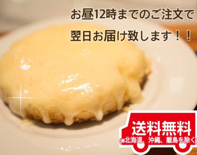 お気に入りの 品数豊富 観音屋 チーズケーキ 神戸元町 神戸名物 手作り 冷蔵 お取り寄せ かんのんや ケンミンショー デンマークチーズケーキ 8個入り
