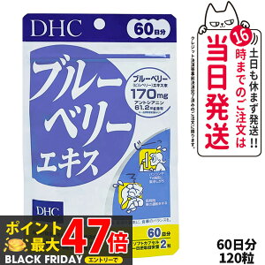 yܖ2027NzDHC fB[GC`V[ u[x[GLX 60 120 Tvg NHi h{@\Hi NTv eTv N }`Tv 1 