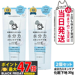 y 2Zbg Kiz ̓XLPAn 30g ێ  ېPA ωn SPF42 PA+++ KANSOSAN J\ET 