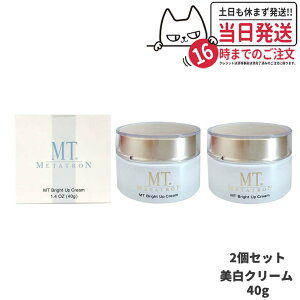 【2個セット・国内正規品】メタトロン化粧品 MT ブライトアップ・クリーム 40g 2個 医薬部外品 保湿 乾燥肌 クリーム フェイスクリーム スキンケア 送料無料