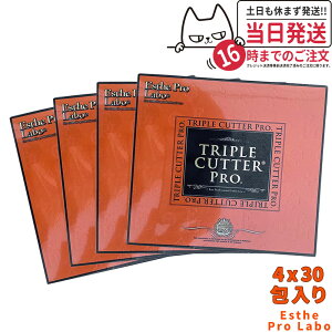 y4ZbgEܖ2027NzGXev{ gvJb^[ v 90gi3g×30j_CGbgTvg J[Jbg   Y  e hbOXgA Ki 