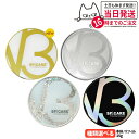 【ロットNoあり正規品】V3ファンデーション 本体/詰め替え用 15g エキサイティング シャイニング ブリリアント インテリジェント セットアップパウダー キキ＆ララ SPICARE スピケア クッションファンデーション 下地不要 リフィル ツヤ 韓国コスメ