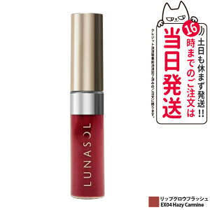 yKi ȂzLUNASOL i\ bvOEtbV EX04 Hazy Carmine CNAbvLbg bvOX bvN[ bvo[  1000~|bL