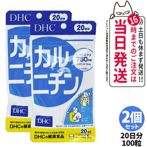 【2個セット 賞味期限2028/03】ディーエイチシー DHC カルニチン 20日分 100粒 サプリメント ダイエット 健康食品 健康サプリ 健康応援 マルチサプリ 送料無料