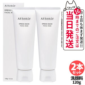 yKizAttenir AejA hXXm[ tFCVEIbV 120g 痿 tH[  ь ێ ZA N[A  p 1{/2{ 