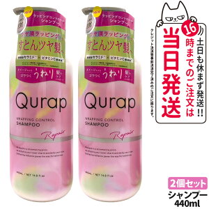 �y2�Z�b�g�z�L�����b�v ���b�s���O�R���g���[���V�����v�[ 440ml �{�� ��C �w�A�P�A �_���[�W �����_���[�W �ێ� �r�^�~��C�U���� QURAP ��������