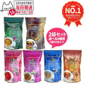 【2袋セット 組合せ自由】エステプロラボ ハーブティープロ（Gデトック／キャラメルデトック／Fブロッカー／コラーゲン／フェイシャル／ゼロカフェイン／スパバーニング／Ras Detoc）ハーブティー ダイエットティー 健康茶 天然素材 Esthe Pro Labo 送料無料