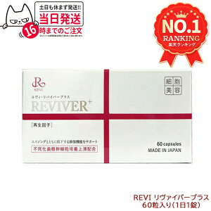 REVI �����B �����B�����@�C�o�[�v���X 60������i1��1���j ��60���� �Đ����q�z�� ���N�H�i �T�v�������g ������������ �����^���p�N�� REVI ������b�\ ROSSO �T�v�������g ��������