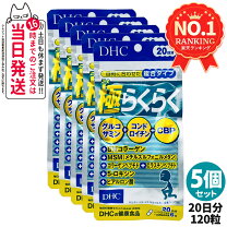 楽天市場】dhc 極らくらく 20日分の通販