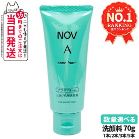 【国内正規品】常盤薬品 NOV ノブ A アクネフォーム 70g 洗顔フォーム 洗顔料 ニキビ肌用 無香料 無着色 低刺激性 医薬部外品 オイルフリー処方 選べる 送料無料