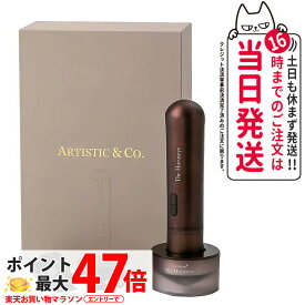 【メーカー保証付き】ARTISTIC＆CO. 目元美顔器 The Horuseye 美顔機 エステ機器 目元 目もと専用美顔器 アーティスティック＆シーオーフェイシャル マッサージ 美容 EMS RF TP ビューテイ 効果 美顔器 引き締め プレゼント 国内正規品 送料無料