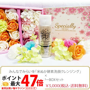 ݂Ȃł݂炢 Y Ăʂyf NWO 70g \[vt[BOXZbg zCg / sN / O[ v[g Mtg 蕨 Ԃ̐Ό ͂Ȃ ̓ o[Xf[v