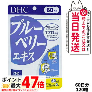 yܖ2027NzDHC fB[GC`V[ u[x[GLX 60 120 Tvg NHi h{@\Hi NTv eTv N }`Tv 1 