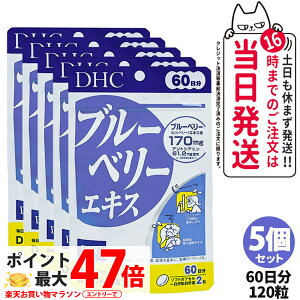 5Zbgyܖ2027NzDHC fB[GC`V[ u[x[GLX 60 120 Tvg NHi h{@\Hi NTv eTv N }`Tv 5 