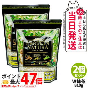 �y2�Z�b�g�z�G�X�e�v�����{ �v���e�C�� �i�`���� �O�����v�� W���� 810g ��܃^�C�v �T�v�������g �O�����v�� �_�C�G�b�g �^���p�N�� ���� ���e �{�f�B���C�N ���݂₷�� Esthe Pro Labo ������