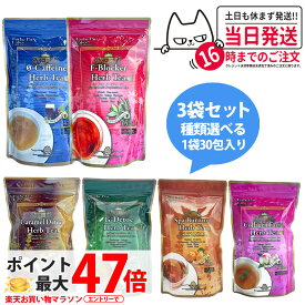 【3個セット 賞味期限28年以降】エステプロラボ ハーブティー プロ 30包 x3袋 G-デトック / キャラメルデトック / Fブロッカー / コラーゲン フェイシャル / ゼロカフェイン / スパ バーニング / Ras Detoc スッキリ 天然素材 オーガニック ハーブティー 国内正規品